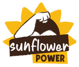 Sunflower Power Bars