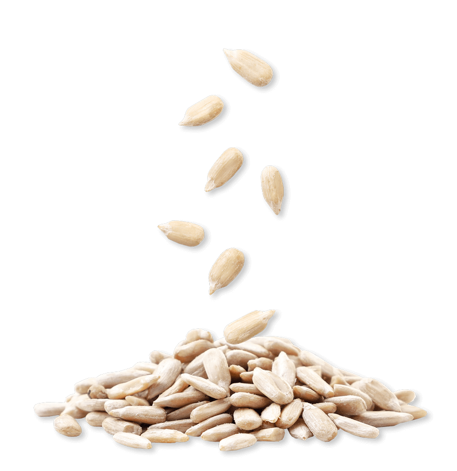 sunflower seeds used in our gluten-free protein bars